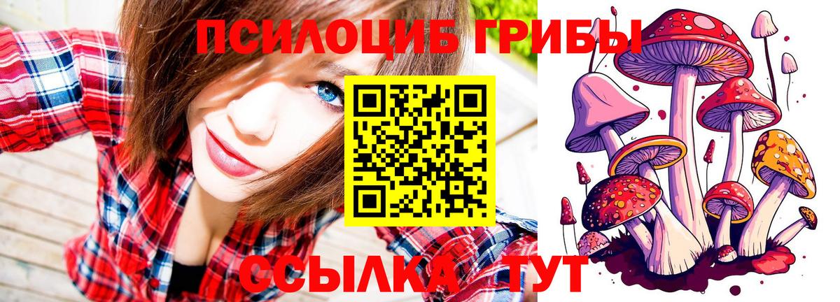 Буйнакск  Псилоцибиновые грибы мухоморы  Вход с VPN 