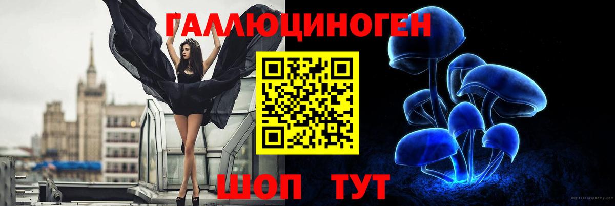 Псилоцибиновые грибы Magic Shrooms Буйнакск