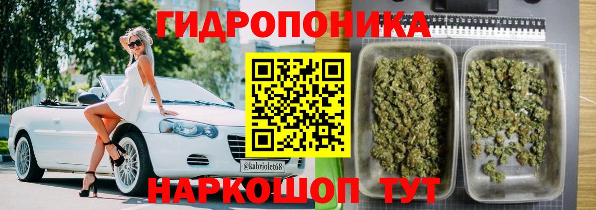 Бошки Шишки тримм  Каннабис OG Kush  Канабис сатива  Буйнакск  Вход с VPN 